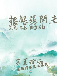 把腿张开老子臊烂你的sb