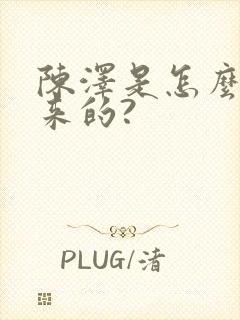 陈泽是怎么火起来的?