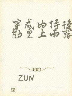 穿成内侍后总在劝皇上雨露均沾