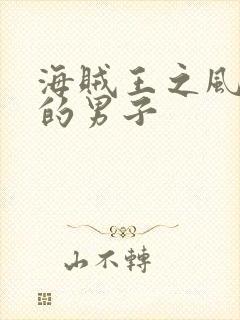 海贼王之风一样的男子