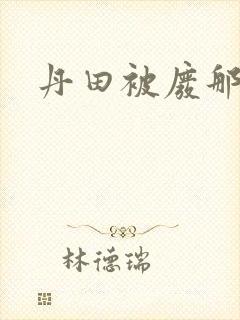 丹田被废那些年