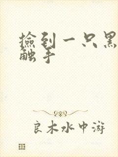 捡到一只黑心小触手