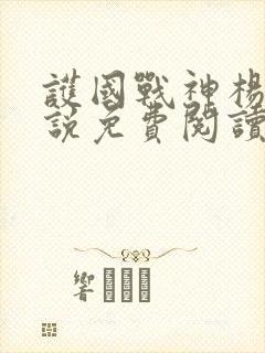 护国战神杨风小说免费阅读