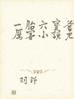 一胎六宝爸比好厉害小说免费阅读