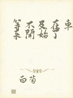 等不及在车里就来开始了