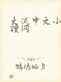 火灭中文小说阅读网