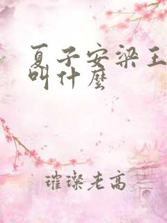 夏子安梁王书名叫什么