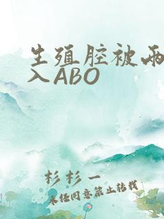 生殖腔被两根进入ABO