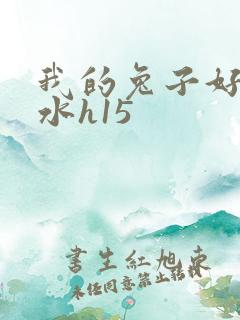 我的兔子好多软水h15