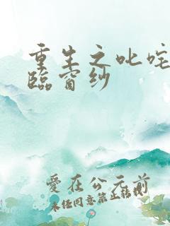 重生之叱咤风云临窗纱