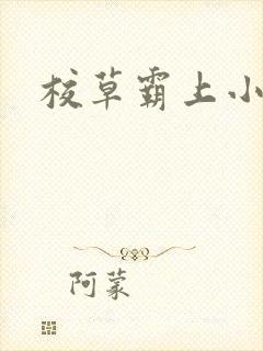 校草霸上小丫头