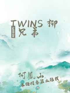 TWINS 柳澤兄弟