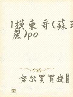 l模东哥(苏玛丽)po