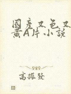 国产又色又爽又黄A片小说