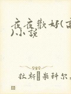 夜夜欢好(高h)小说