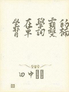 坐在学霸的棍子背单词双楠