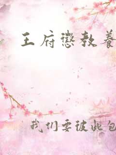 王府惩教养日常