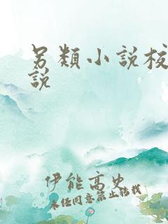 另类小说校园小说