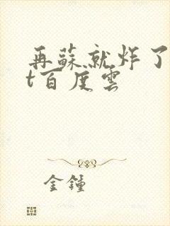 再苏就炸了txt百度云