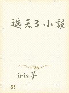 遮天3 小说