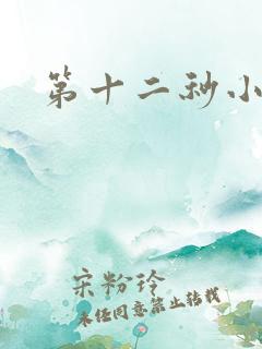 第十二秒小说