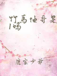 竹马他哥是1v1吗