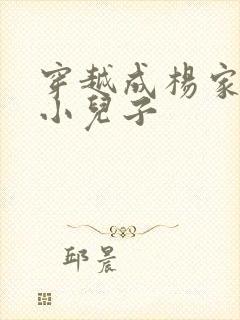 穿越成杨家将最小儿子