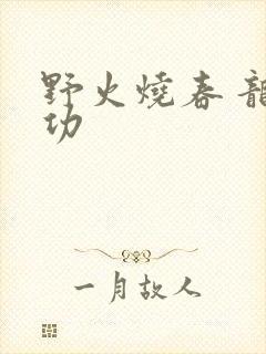 野火烧春 龙鸣功