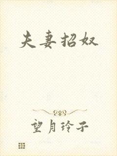 夫妻招奴