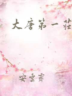 大唐第一庄