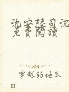 沈安陆司沉小说免费阅读