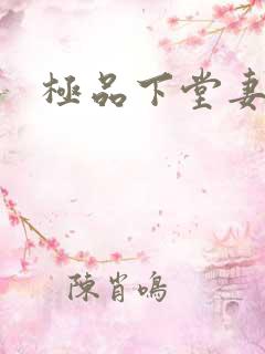 极品下堂妻