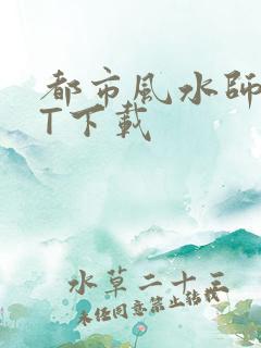 都市风水师TXT下载