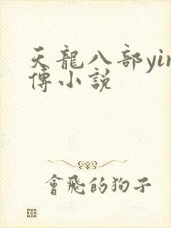 天龙八部yin传小说