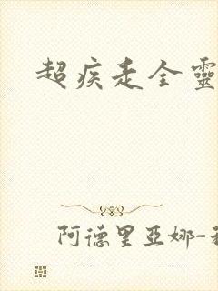 超疾走全灵兵器