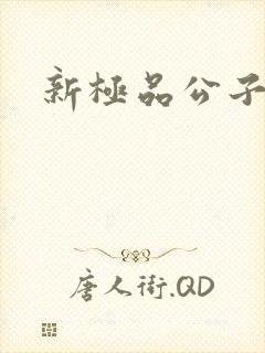 新极品公子