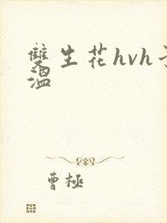 双生花hvh予温