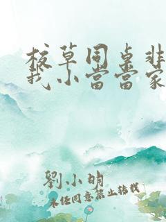 校草同桌非要撩我小当当家