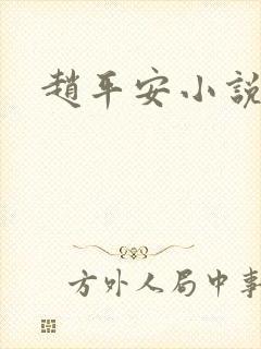 赵平安小说主角