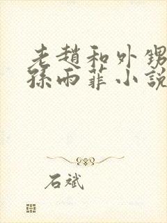 老赵和外甥媳妇孙雨菲小说