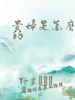 贵妇是怎么炼成的