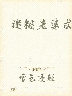 迷糊老婆求错婚