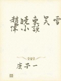 赵晓东吴雪晴郑伟小说