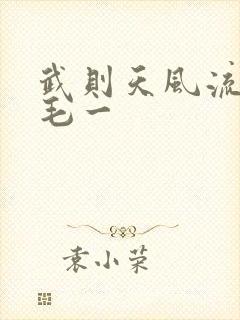 武则天风流艳情毛一