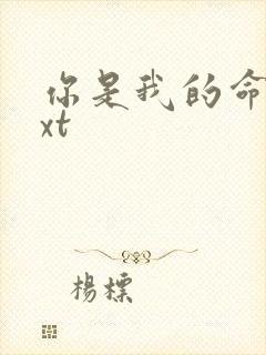 你是我的命运txt