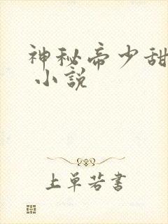 神秘帝少甜宠妻 小说