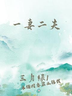 一妻二夫