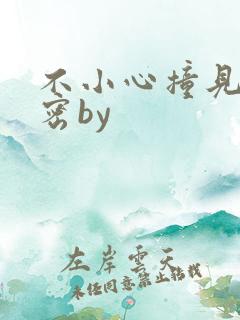 不小心撞见的秘密by