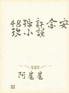 48号许念安穆玫小说