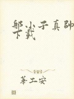 那小子真帅小说下载